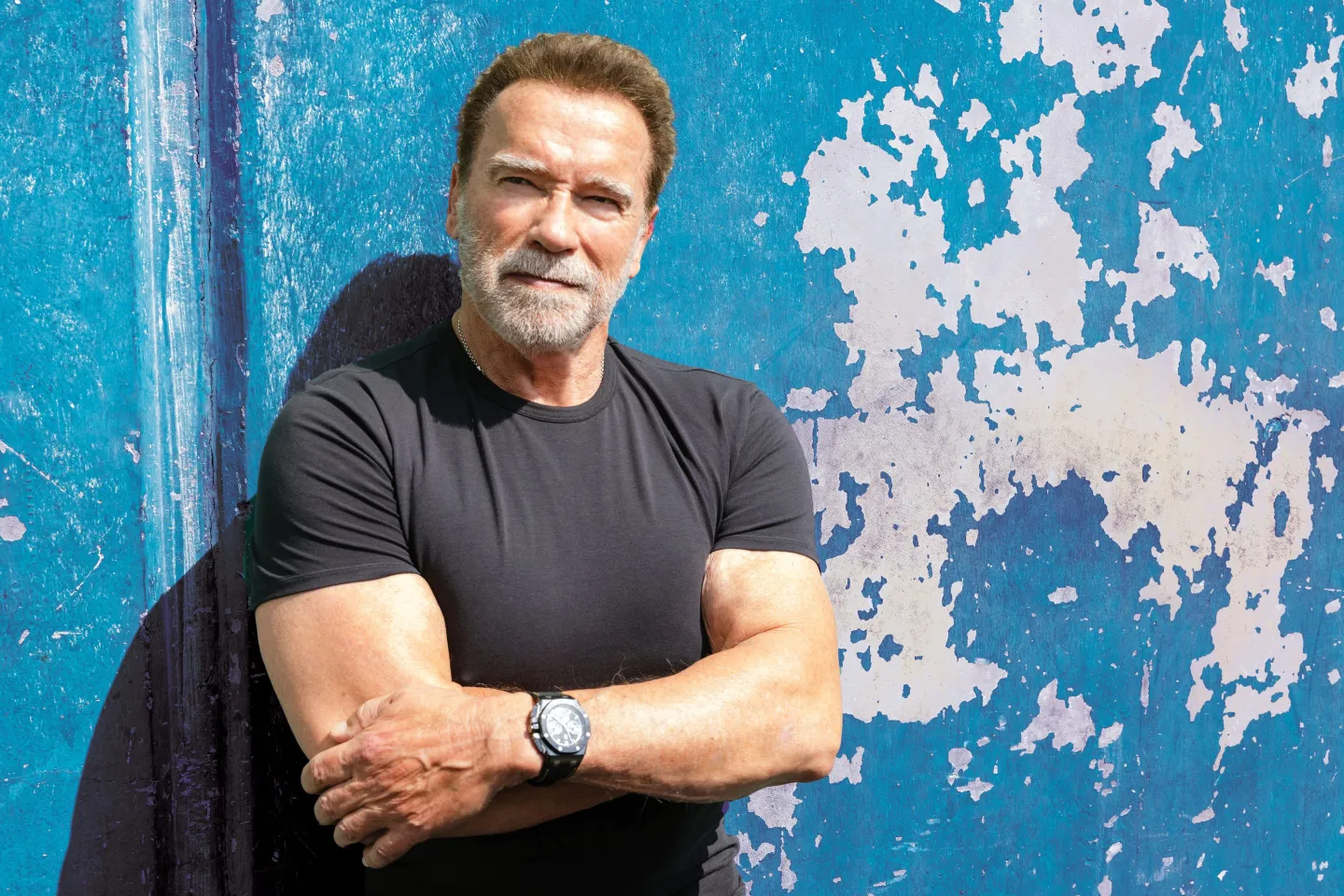 Arnold Schwarzenegger Biography